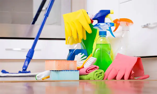 Domestic Home Cleaning Services