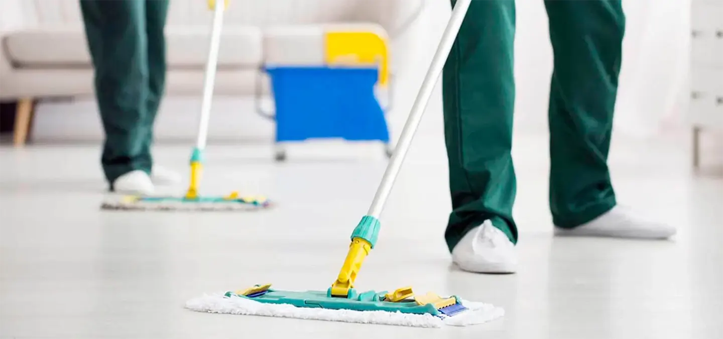 Domestic CLeaning Services